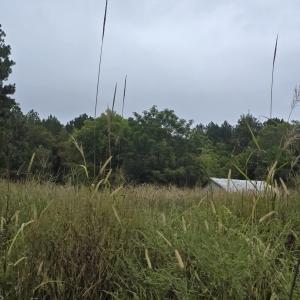 Photo #2 of 734 Cotton, Fuquay Varina, NC 14.0 acres