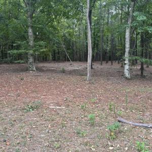 Photo #4 of 4030 Granite Ridge, Raleigh, NC 13.1 acres