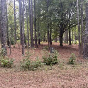Photo #5 of 4030 Granite Ridge, Raleigh, NC 13.1 acres