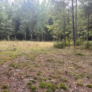 Photo #2 of 4030 Granite Ridge, Raleigh, NC 13.1 acres