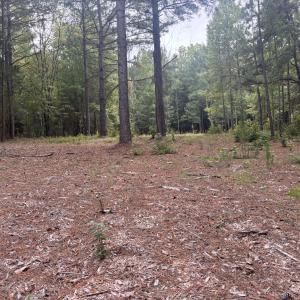 Photo #3 of 4030 Granite Ridge, Raleigh, NC 13.1 acres