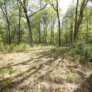 Photo #1 of 7202 Old Nc 86, Chapel Hill, NC 4.0 acres