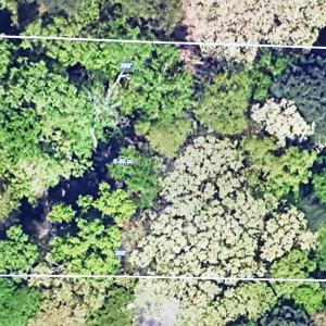 Photo #7 of 809 Brandon, Durham, NC 0.5 acres