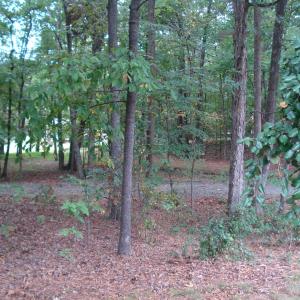 Photo #3 of 809 Brandon, Durham, NC 0.5 acres