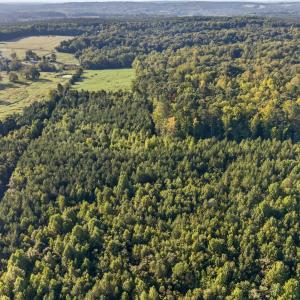 Photo #14 of Tbd 3 Henderson Tanyard, Pittsboro, NC 21.0 acres