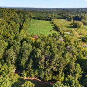 Photo #20 of Tbd 3 Henderson Tanyard, Pittsboro, NC 21.0 acres