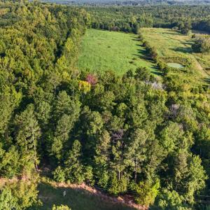 Photo #12 of Tbd 3 Henderson Tanyard, Pittsboro, NC 21.0 acres