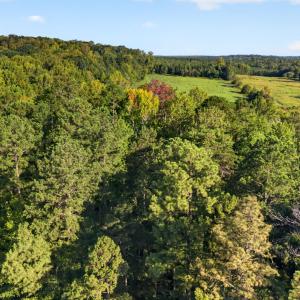 Photo #21 of Tbd 3 Henderson Tanyard, Pittsboro, NC 21.0 acres