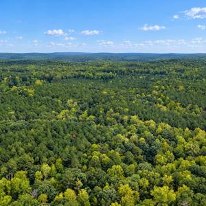Photo #5 of Off J B Morgan, Apex, NC 21.6 acres
