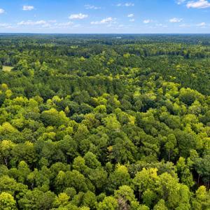 Photo #4 of Off J B Morgan, Apex, NC 21.6 acres