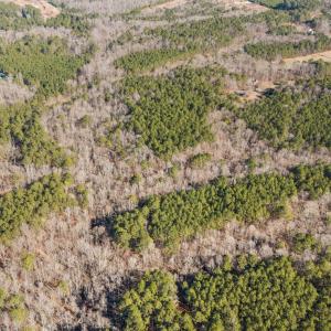 Photo #14 of Off J B Morgan, Apex, NC 21.6 acres