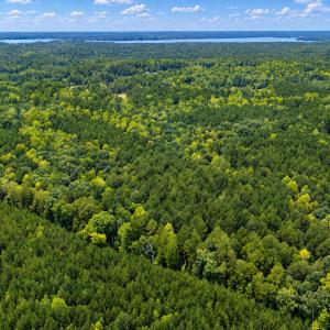 Photo #8 of Off J B Morgan, Apex, NC 21.6 acres