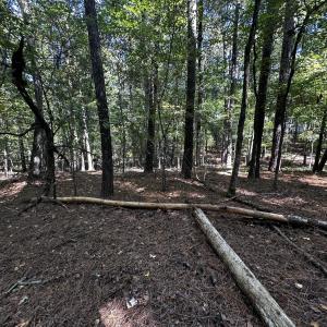 Photo #7 of 1422 Mt Pisgah Church, Apex, NC 1.3 acres