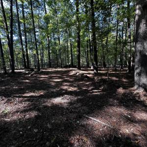 Photo #2 of 1422 Mt Pisgah Church, Apex, NC 1.3 acres