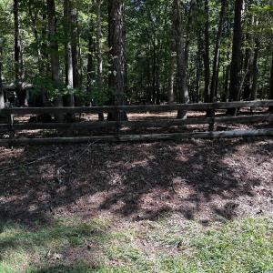 Photo #1 of 1422 Mt Pisgah Church, Apex, NC 1.3 acres