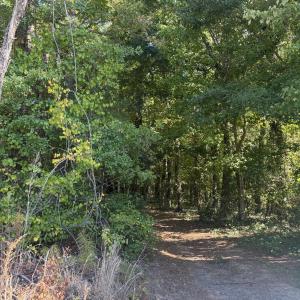 Photo #2 of 5017 Sunset Lake, Apex, NC 0.9 acres