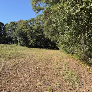 land view