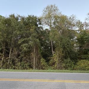 Dense natural privacy buffer