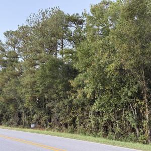 2.4 ac wooded lot on paved road