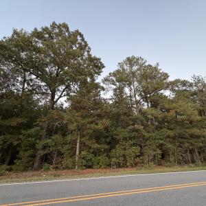 Gentle rolling topography lot