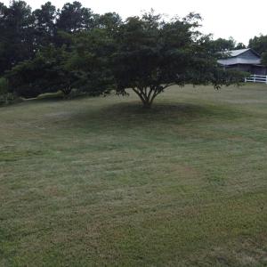 Main picture