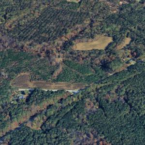 Google earth