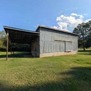 Shelter and Building