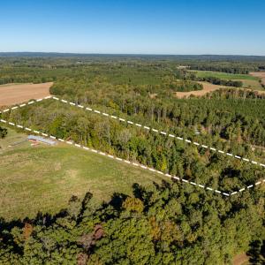 611 Collins Mountain Rd.02