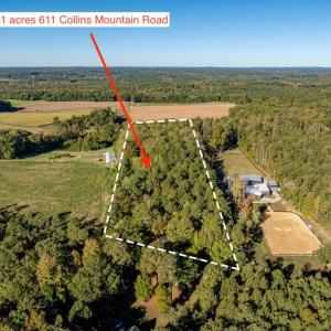 611 Collins Mountain Rd.05