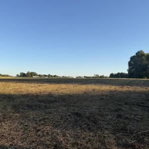 land view