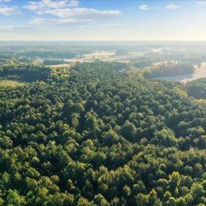 11-Swift Creek Rd - 11