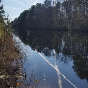 Rear Canal View!