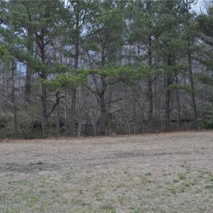 Front view with Dismal Swamp Canal in rear