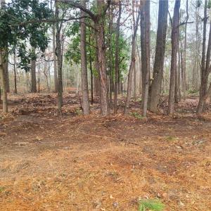 Lot view from street