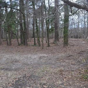 NE Lot corner view with corner marked with flags