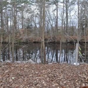 NW lot corner view with corner marked near Post