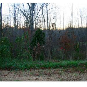 Build Your Dream Home Today