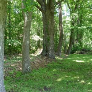 Photo #6 of 1809 Battlefield Boulevard, Chesapeake, Virginia 5.1 acres