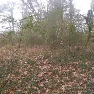 Photo #3 of LOT 15 FARM Road, Smithfield, Virginia 1.5 acres