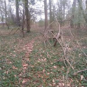 Photo #4 of LOT 15 FARM Road, Smithfield, Virginia 1.5 acres