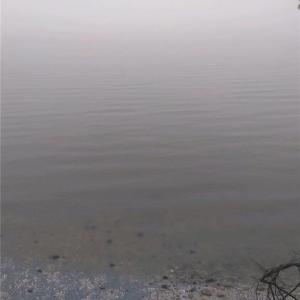 Photo #5 of LOT 15 FARM Road, Smithfield, Virginia 1.5 acres