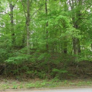 Photo #1 of Lots London Bridge (12 & 13A) Drive, Danville, Virginia 0.6 acres