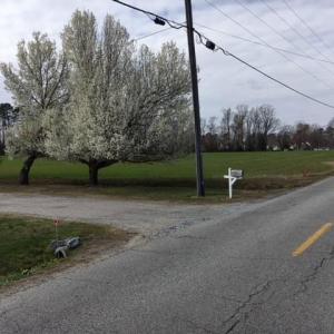 Photo #5 of 40AC Shiloh Drive, Windsor, Virginia 40.0 acres