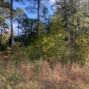 Photo #1 of .42AC Pinehaven Road, Courtland, Virginia 0.4 acres