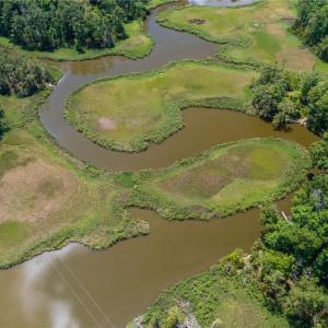 Photo #19 of 20acre FEATHERBED Lane, Gloucester, Virginia 20.0 acres