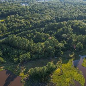 Photo #3 of 1928 Moses Grandy Trail, Chesapeake, Virginia 12.3 acres