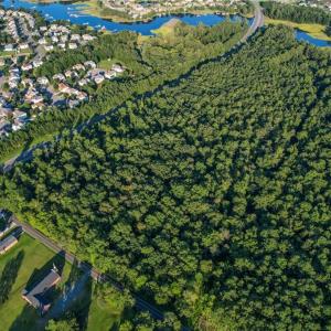 Photo #6 of Lots Moses Grandy ( Par.B,C,D) Trail, Chesapeake, Virginia