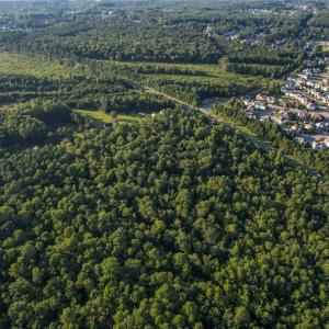 Photo #9 of Lots Moses Grandy ( Par.B,C,D) Trail, Chesapeake, Virginia