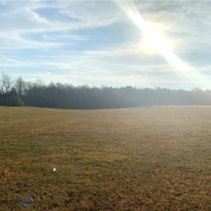 Photo #1 of 6.64ac HOMEPLACE Lane, Gloucester, Virginia 6.6 acres