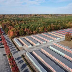 Photo #18 of 8.6acs Councill Drive, Franklin, Virginia 8.7 acres